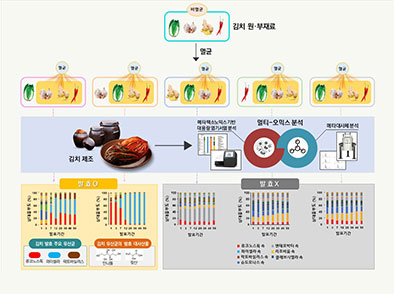 김치 및 원·부재료 유산균 발효 특성 구명 관련 사진