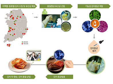 산업체 수요기반 종균 적용 공정 개발 및 종균 상용화관련 사진