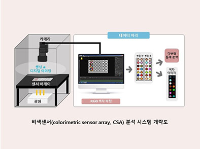 글루코시놀레이트 신속 분석법 개발 관련 사진